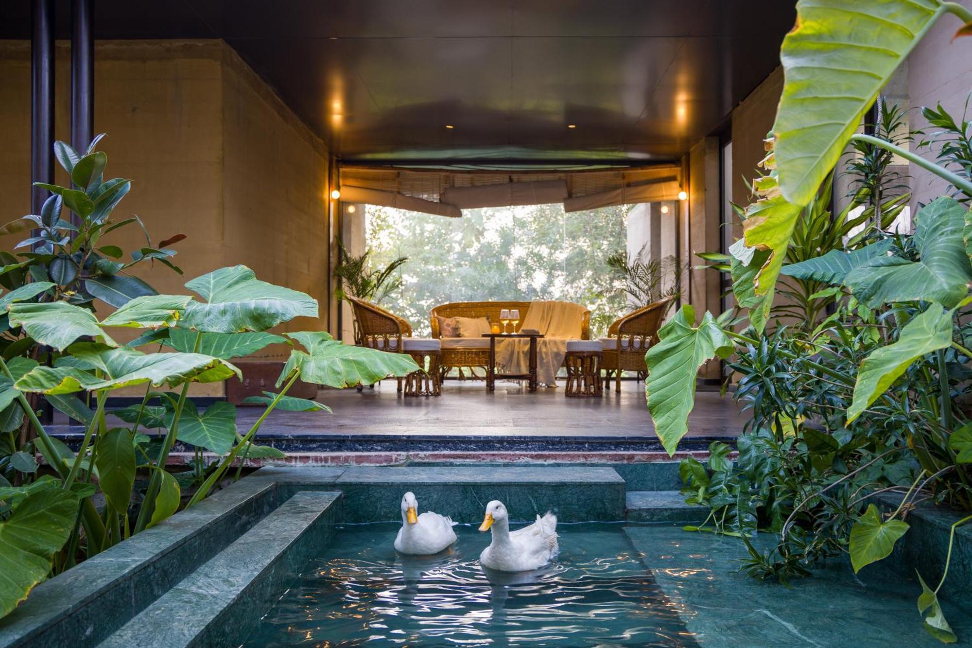 Elivaas Hari Bagh 4 Bhk Villa With Gaming Zone & Art Nook 자이푸르 외부 사진