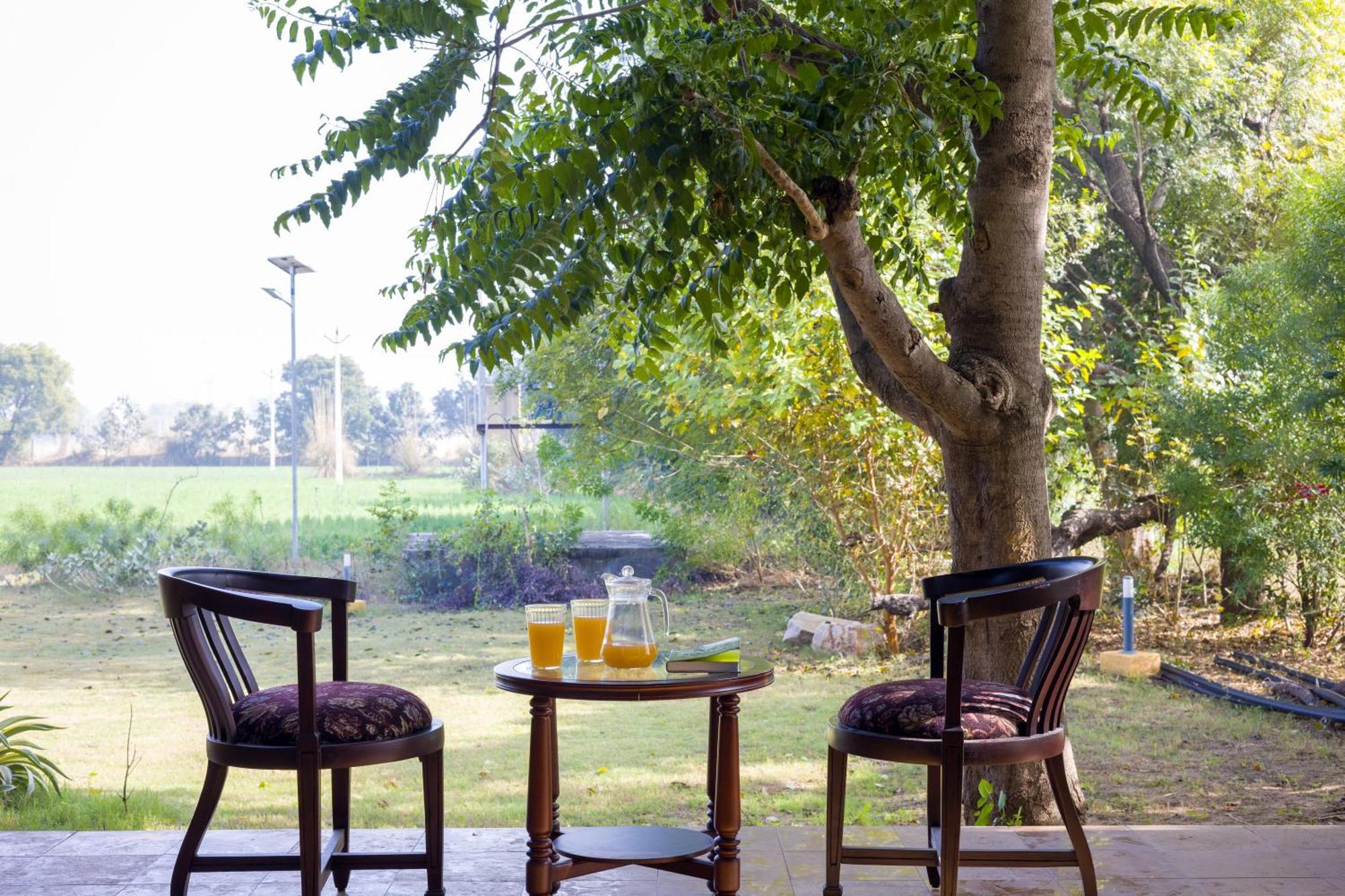 Elivaas Hari Bagh 4 Bhk Villa With Gaming Zone & Art Nook 자이푸르 외부 사진